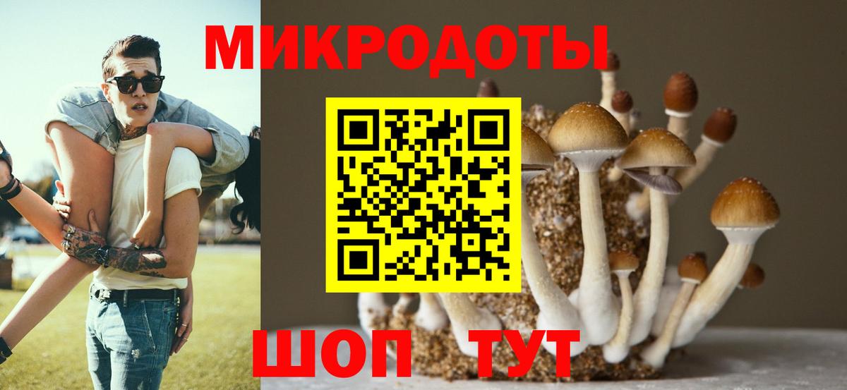 Вольск  Галлюциногенные грибы Psilocybe  Вход с VPN  Галлюциногенные грибы Magic Shrooms 